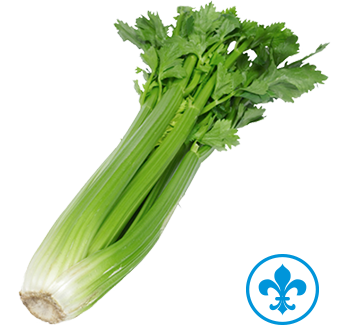 5saveurs céleri qc
