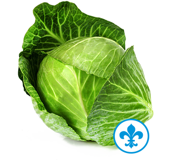 5saveurs chou vert qc