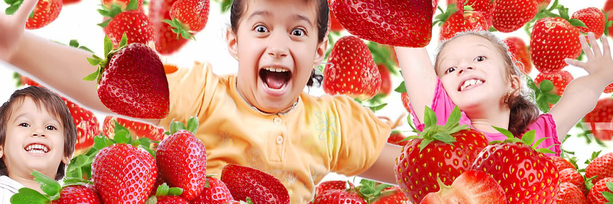 Fraises avec enfants