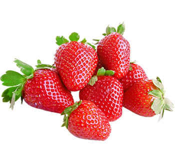 5saveurs fraises