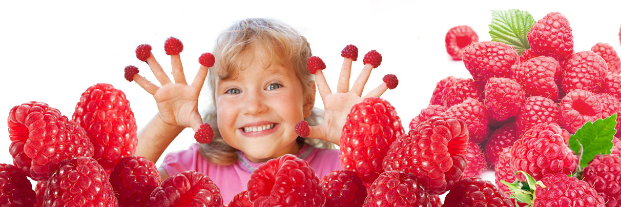 Framboises
