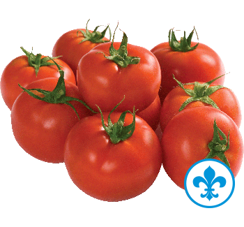 5saveurs tomates qc
